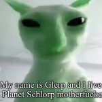 My name is Glerp and I live in Planet Schlorp motherf**kers