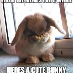 welcome to your happy place | LET'S TAKE A BREAK FROM THE MEMES FOR A WHILE; HERES A CUTE BUNNY TO BRIGHTEN YOUR DAY! | image tagged in embarrassed bunny | made w/ Imgflip meme maker