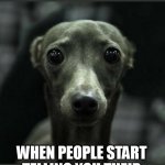 When people start telling you their life story on the bus | YOUR FACE; WHEN PEOPLE START TELLING YOU THEIR LIFE STORY ON THE BUS | image tagged in dog,funny,life,strangers,bus | made w/ Imgflip meme maker