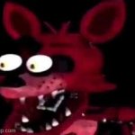 Foxy being surprised asf