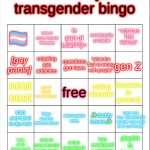 a mentally ill transgender bingo meme