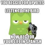 USE THIS IF YOU FIND AN UPVOTE BEGGAR | LISTEN TO THE BIRD | image tagged in you begged for upvotes | made w/ Imgflip meme maker