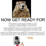how much wood? | The woodchuck; How much wood would woodrow row if woodrow could row wood | image tagged in you've heard of ______,woodchuck,boat,funny,memes,yes | made w/ Imgflip meme maker