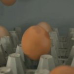 egg GIF Template