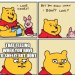Winnie the Pooh but you know what I don’t like | THAT FEELING WHEN YOU HAVE TO SNEEZE BUT DONT | image tagged in winnie the pooh but you know what i don t like | made w/ Imgflip meme maker