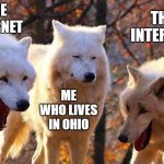 Laughing wolf | THE INTERNET; THE INTERNET; ME WHO LIVES IN OHIO | image tagged in laughing wolf,ohio | made w/ Imgflip meme maker