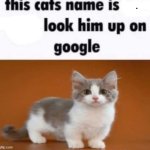 . | . | image tagged in this cats name is x look him up on google | made w/ Imgflip meme maker