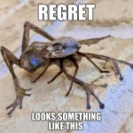 Bit off more than he could chew | REGRET; LOOKS SOMETHING
LIKE THIS | image tagged in spider,frog,memes,regret,nature,death battle | made w/ Imgflip meme maker