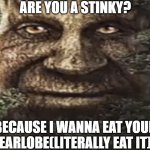W rizz? | ARE YOU A STINKY? BECAUSE I WANNA EAT YOUR EARLOBE(LITERALLY EAT IT) | image tagged in wise mystical tree,funny,funny memes,fun,relatable,memes | made w/ Imgflip meme maker