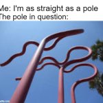 A very "straight" back posture | Me: I'm as straight as a pole; The pole in question: | image tagged in poles | made w/ Imgflip meme maker