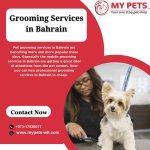 Grooming Services in Bahrain