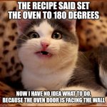 confused cat | THE RECIPE SAID SET THE OVEN TO 180 DEGREES; NOW I HAVE NO IDEA WHAT TO DO, BECAUSE THE OVEN DOOR IS FACING THE WALL | image tagged in meme,cat,oven,wall | made w/ Imgflip meme maker