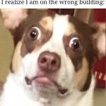 Bruh | The face I do when I bring a very heavy package to the top of the stairs of a building but I realize I am on the wrong building: | image tagged in surprised dog,memes,package,certified bruh moment,relatable memes,funny | made w/ Imgflip meme maker