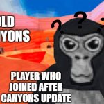 new players in old maps | OLD CANYONS; PLAYER WHO JOINED AFTER CANYONS UPDATE | image tagged in gorilla tag | made w/ Imgflip meme maker