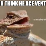 heheheheh dragon | BRUH THINK HE ACE VENTURA | image tagged in heheheheh dragon | made w/ Imgflip meme maker