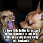 Barking Chihuahua | If a tree falls in the forest and 
there is no one to see it, a 
chihuahua 500 miles away 
will bark at it. | image tagged in barking chihuahua,dogs pets funny | made w/ Imgflip meme maker