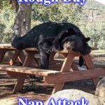 nappingbear | Rough Day; Nap Attack | image tagged in nappingbear | made w/ Imgflip meme maker