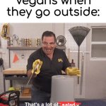 at least they touch grass | Vegans when they go outside:; salad | image tagged in thats a lot of damage,dive | made w/ Imgflip meme maker