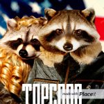 Stay Away From This Raccoon He's A Trained Professional | image tagged in topcoon movie cover meme | made w/ Imgflip meme maker