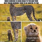 Epic meme about best friends | WHEN SOMEONE IS BEING MEAN TO YOU AND YOUR BEST FRIEND REMINDS THEM TO BE CAREFUL TO YOU | image tagged in i would fight for you | made w/ Imgflip meme maker