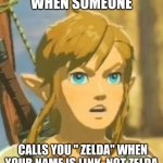 Offended Link | WHEN SOMEONE; CALLS YOU " ZELDA" WHEN YOUR NAME IS LINK, NOT ZELDA. | image tagged in offended link | made w/ Imgflip meme maker