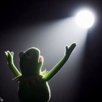 Kermit praise