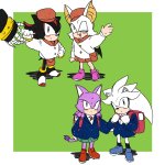 blaze, shadow, silver, omega, rouge as students