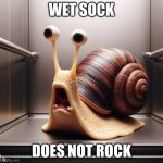 Not Again | WET SOCK; DOES NOT ROCK | image tagged in wet sock | made w/ Imgflip meme maker