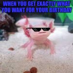 AxolotlDude | WHEN YOU GET EXACTLY WHAT YOU WANT FOR YOUR BIRTHDAY | image tagged in axolotldude | made w/ Imgflip meme maker