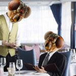 Fly waiter human in my soup