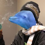 Snoop Dolphin Puffer Fish