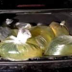 Gas bags in trunk
