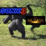 gorilla throwing another gorilla | image tagged in gorilla throwing another gorilla,sonic the hedgehog,the lion king | made w/ Imgflip meme maker