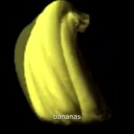 bananas RO TA TE GIF Template