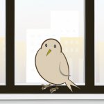 Bird on a window sitting