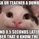 dumbness certificate | WHEN U ASK UR TEACHER A DUMB QUESTION; AND 0.5 SECONDS LATER U REMEMBER THAT U KNOW THE ANSWER | image tagged in u ask ur teacher,fun,funny,cat,sad,relatable | made w/ Imgflip meme maker