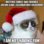 Grumpy Cat Christmas Hat | MEETING FAMILY AND FRIENDS, EATING CAKE, CELEBRATING! UGGGHHH! I AM NOT HAVING FUN! | image tagged in grumpy cat christmas hat | made w/ Imgflip meme maker