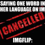 racism?!?!?!?! | SAYING ONE WORD IN ANOTHER LANGUAGE ON IMGFLIP; IMGFLIP: | image tagged in cancelled | made w/ Imgflip meme maker