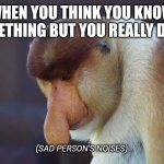 Monkey | WHEN YOU THINK YOU KNOW SOMETHING BUT YOU REALLY DON'T; (SAD PERSON'S NOISES) | image tagged in smutny nosacz | made w/ Imgflip meme maker