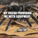 New meme template | MY FRIEND PROVIDING ME WITH EQUIPMENT; LEVEL 1 ME | image tagged in spider and frog | made w/ Imgflip meme maker