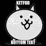 Battle Cats Basic Cat | KETFUD; BOTTOM TEXT | image tagged in battle cats basic cat | made w/ Imgflip meme maker