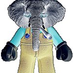 ELEPHANT MAYRIO!!!!!!!!!!!!!!!! | IT'S A ME A MAYRIO! ELEPHANT VERSION | image tagged in elephant may-rio | made w/ Imgflip meme maker
