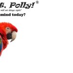 Preach It Polly