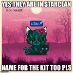 Name for both | YES THEY ARE IN STARCLAN; NAME FOR THE KIT TOO PLS | image tagged in name pls | made w/ Imgflip meme maker