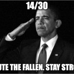 RIP to our lost soldiers. | 14/30; SALUTE THE FALLEN. STAY STRONG. | image tagged in obama-salute,nnn,rip | made w/ Imgflip meme maker
