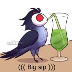 Big sip but owl stolas