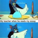 Essay