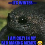 ? | ---ITS WINTER---; I AM COZY IN MY BED MAKING MEMES 😀 | image tagged in cute frog smile | made w/ Imgflip meme maker