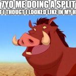 i was on fire | 7YO ME DOING A SPLIT; WHAT I THOUGT I LOOKED LIKE IN MY HEAD: | image tagged in pumba,agario | made w/ Imgflip meme maker