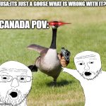 comedic purposes only :) | USA:ITS JUST A GOOSE WHAT IS WRONG WITH IT? CANADA POV: | image tagged in canada goose | made w/ Imgflip meme maker